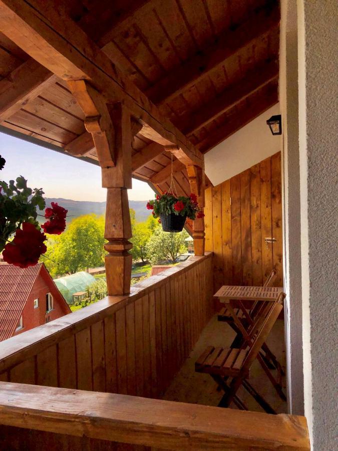 Pensiunea Roca Maramures Desesti Exterior photo